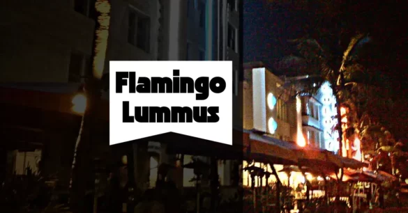 Flamingo Lummus South Beach Miami