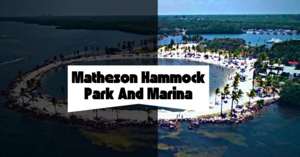 Matheson Hammock Park And Marina Miami