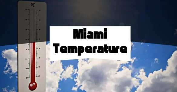 Miami Temperature By Month