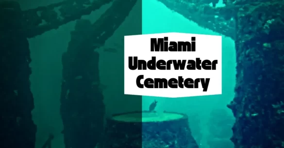 What Is The Miami Underwater Cemetery